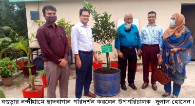 নন্দীগ্রামে ছাদবাগান পরিদর্শন করলেন উপপরিচালক  
